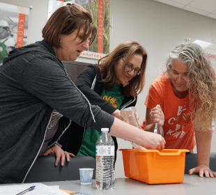 Professional Development for Educators »