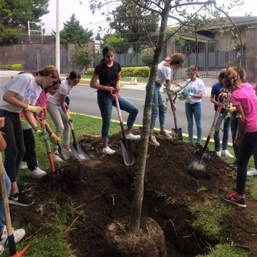 University volunteers joined to help planting