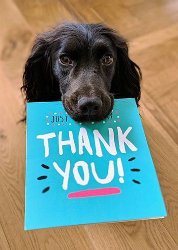 Dog holding Thank you card