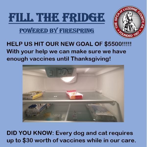 Fill the Fridge August 2024