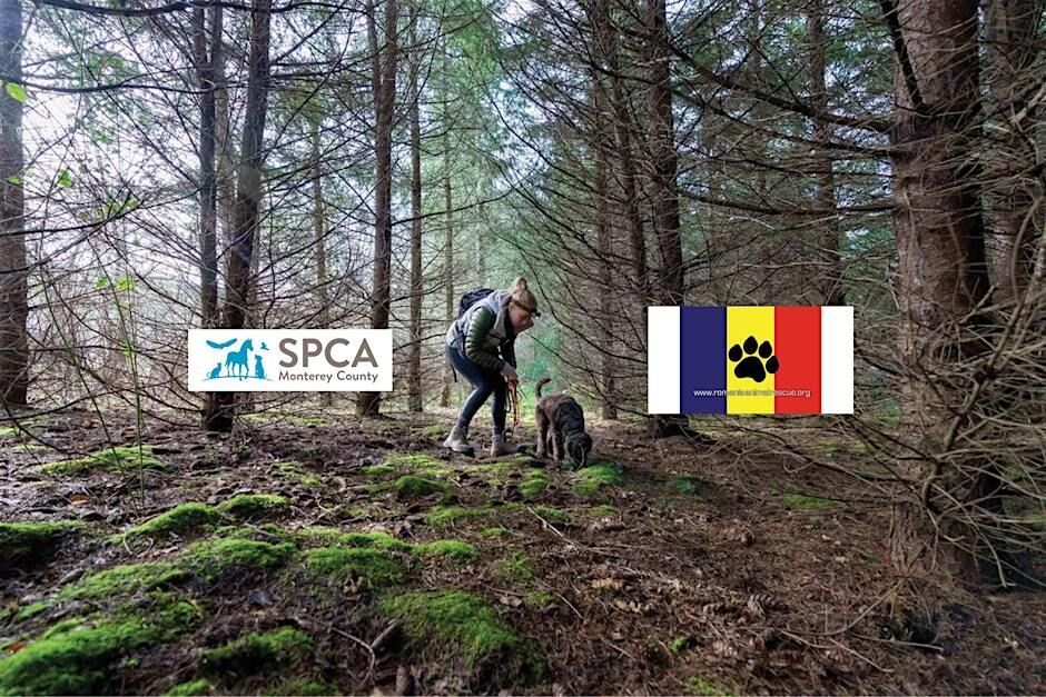 Romanian Culinary Experience Benefiting Romania Animal Rescue & SPCA