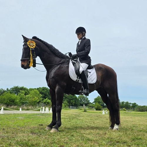 Tina Bodnar and Chagall (VA)