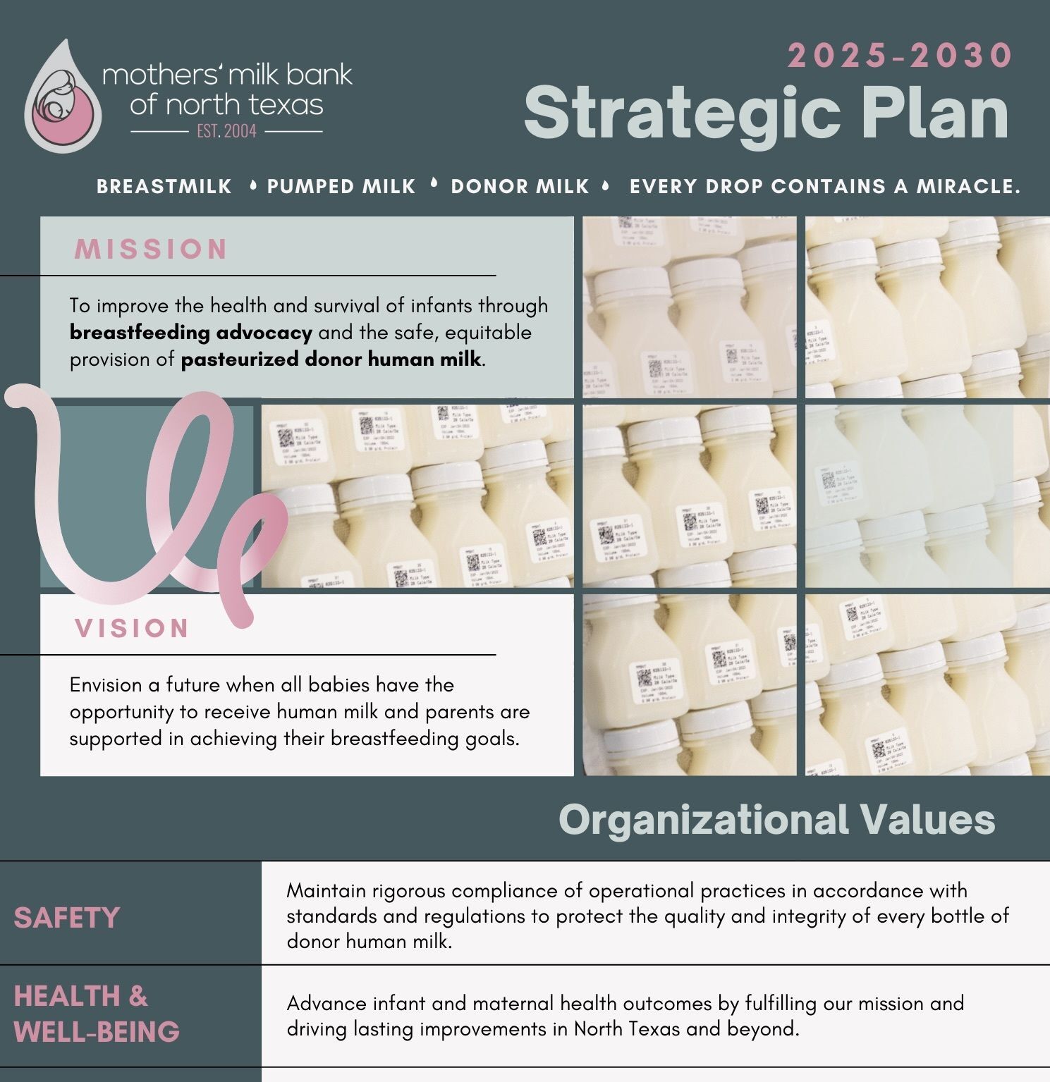2025-2030 Strategic Plan