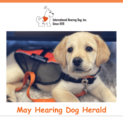 The Hearing Dog Herald - May 2022