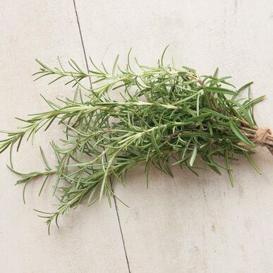 Rosemary