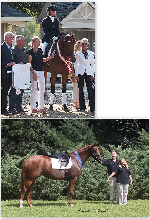 TDF Awards Grants from Elysium Farm Fund for U.S. Breeder Excellence