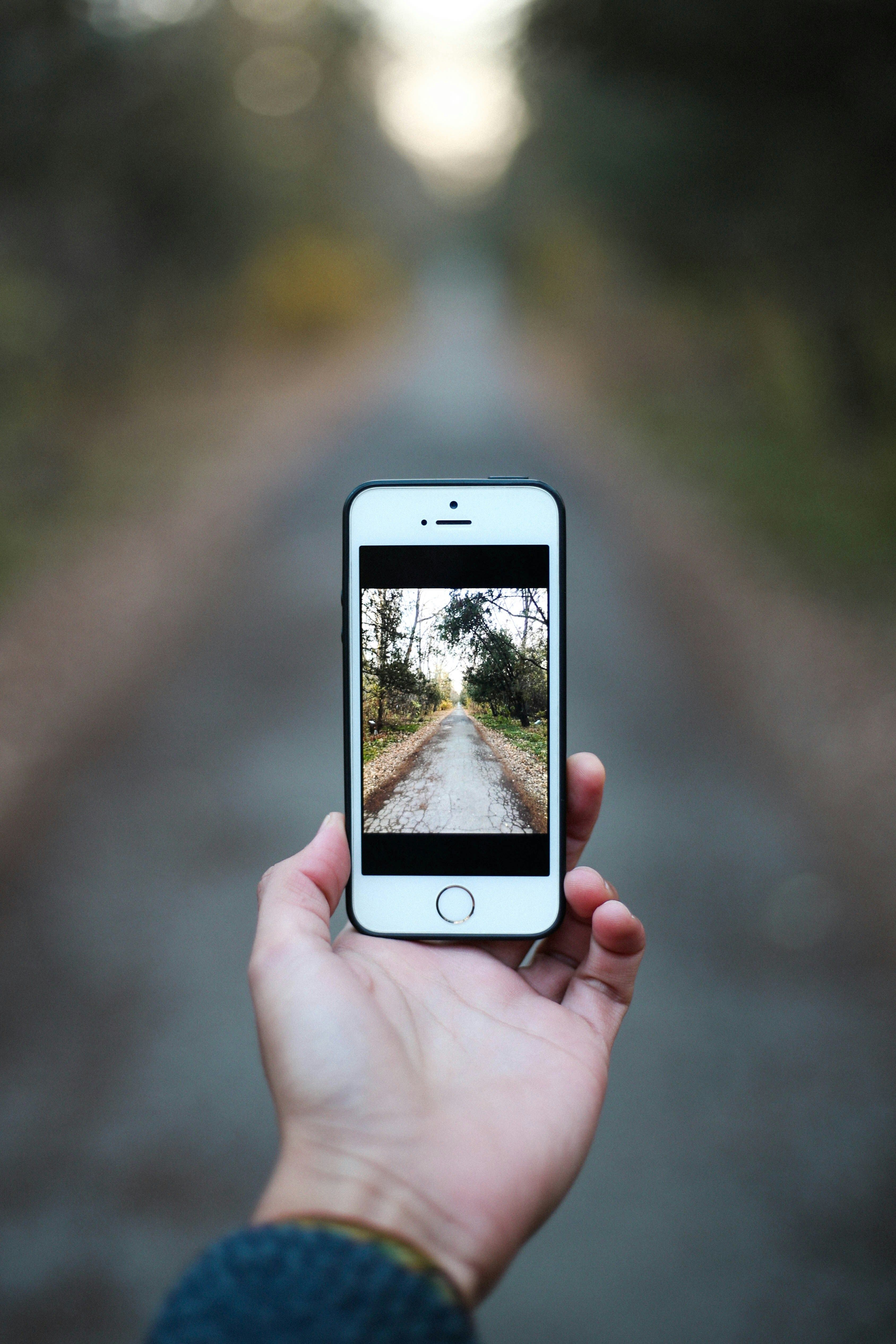 hands taking a photo with a cell phone