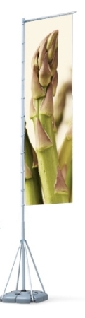 Easy Giant