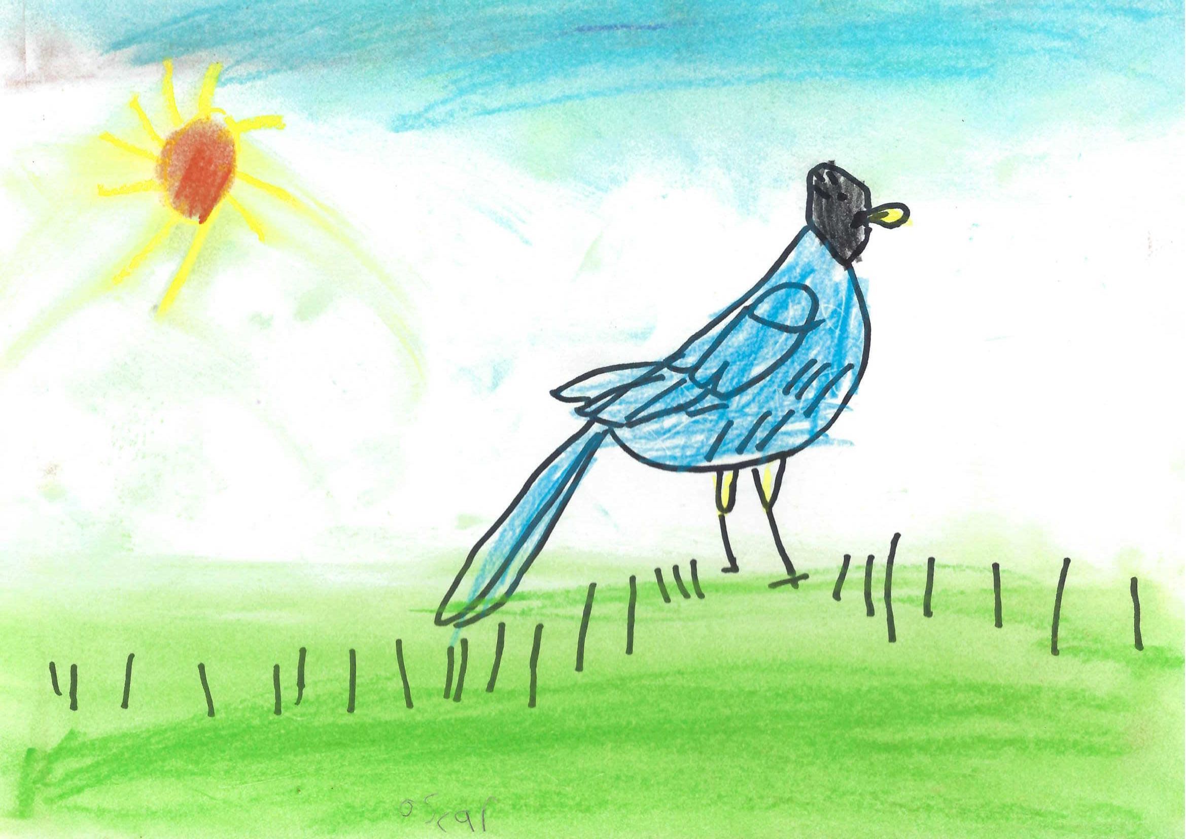 Oscar, 3rd Grade