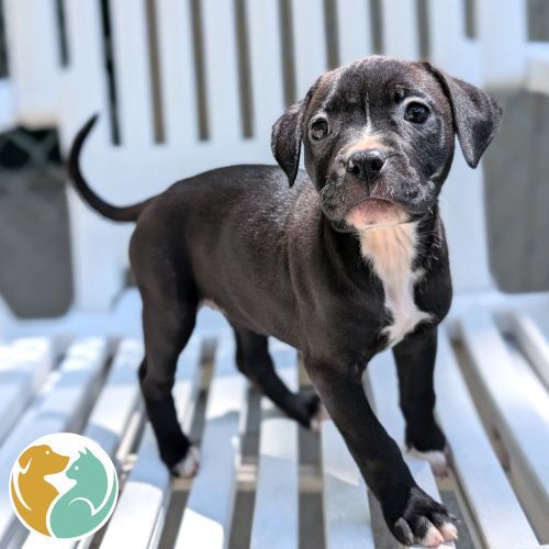 TRES