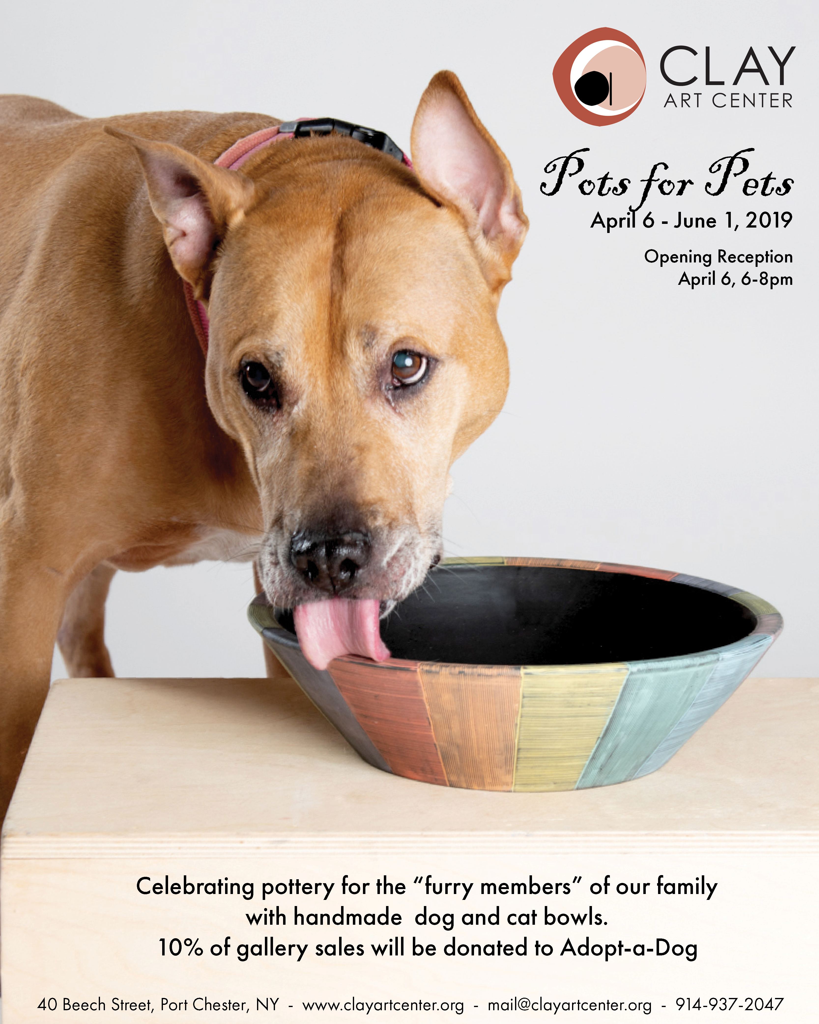 Pots for Pets