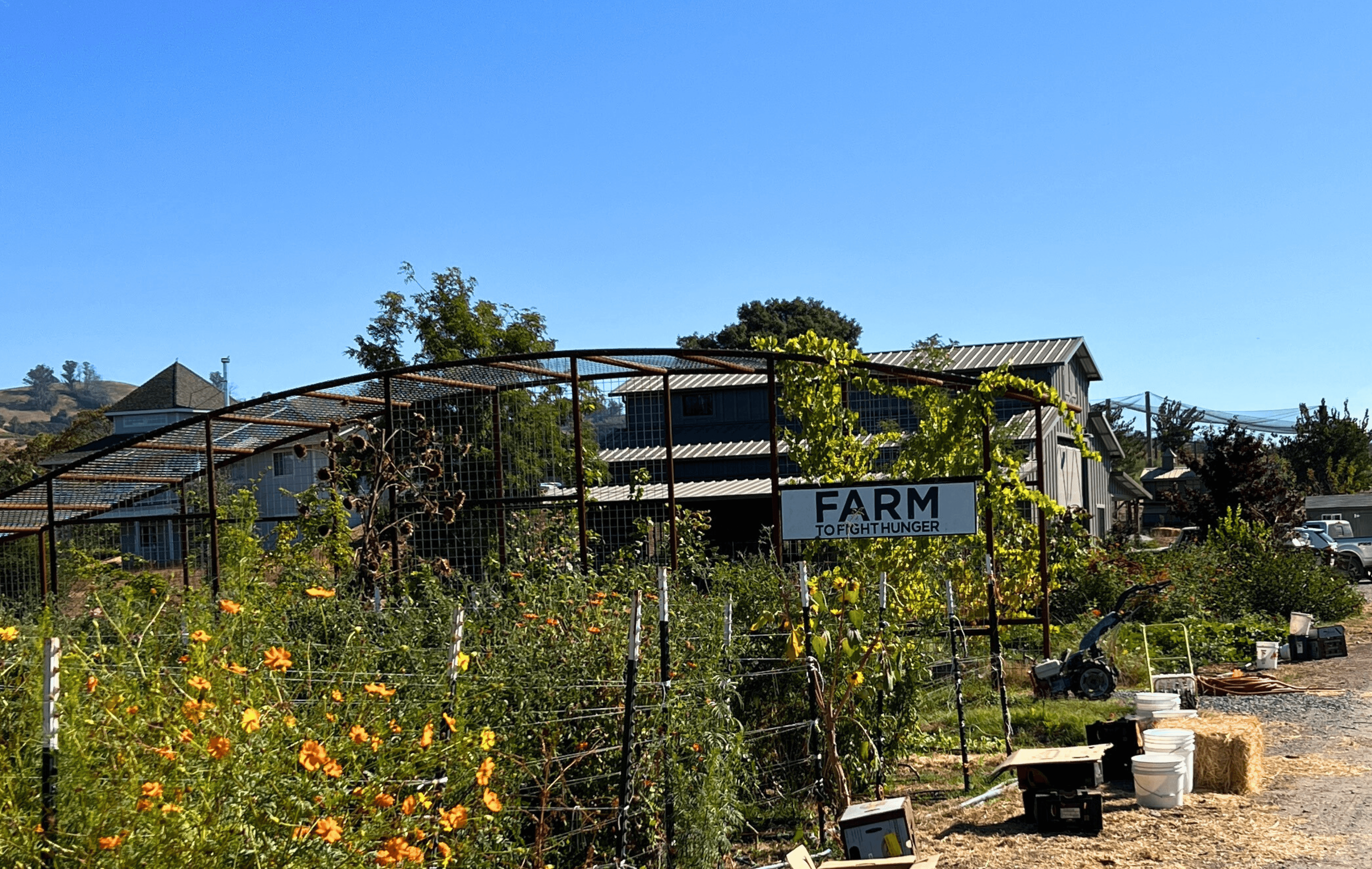 How Farm to Fight Hunger and Redwood Empire Food Bank are Turning Harvests into Meals that Matter