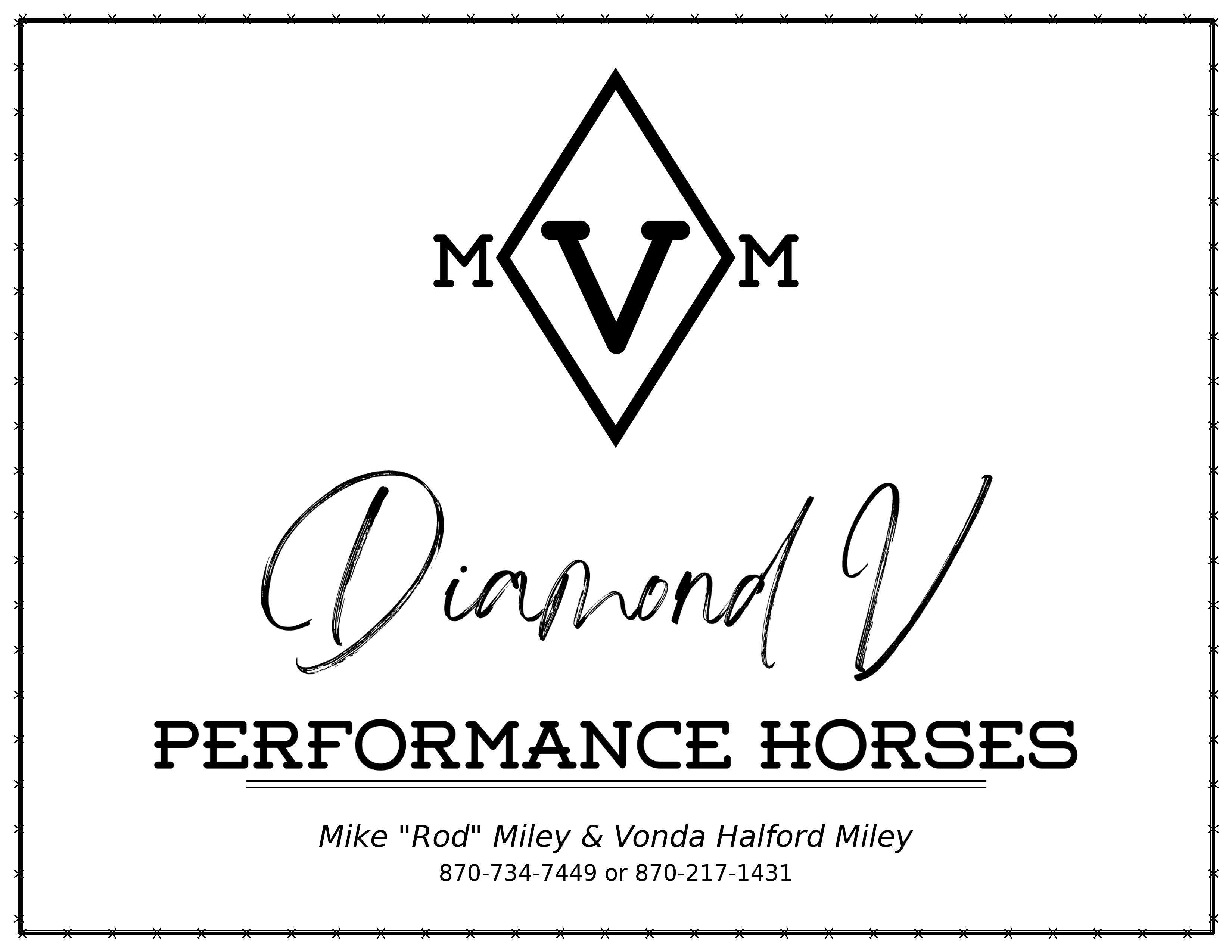 Diamond V Performance Horses