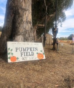 St. Vincent's School for Boys Pumpkin Patch