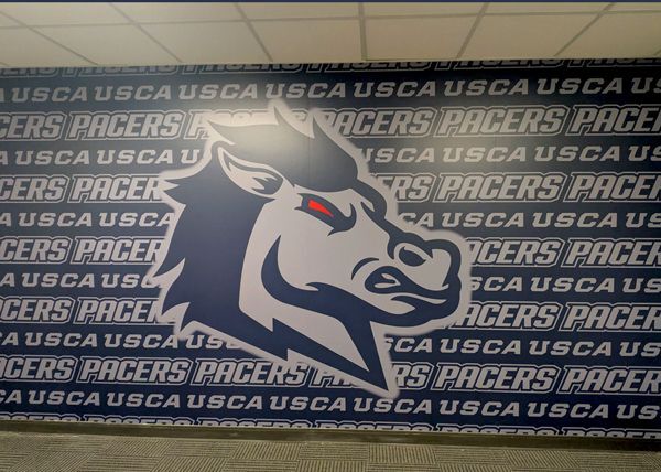 Interior wall mural and dimensional letter logo for a medical facility in Augusta GA