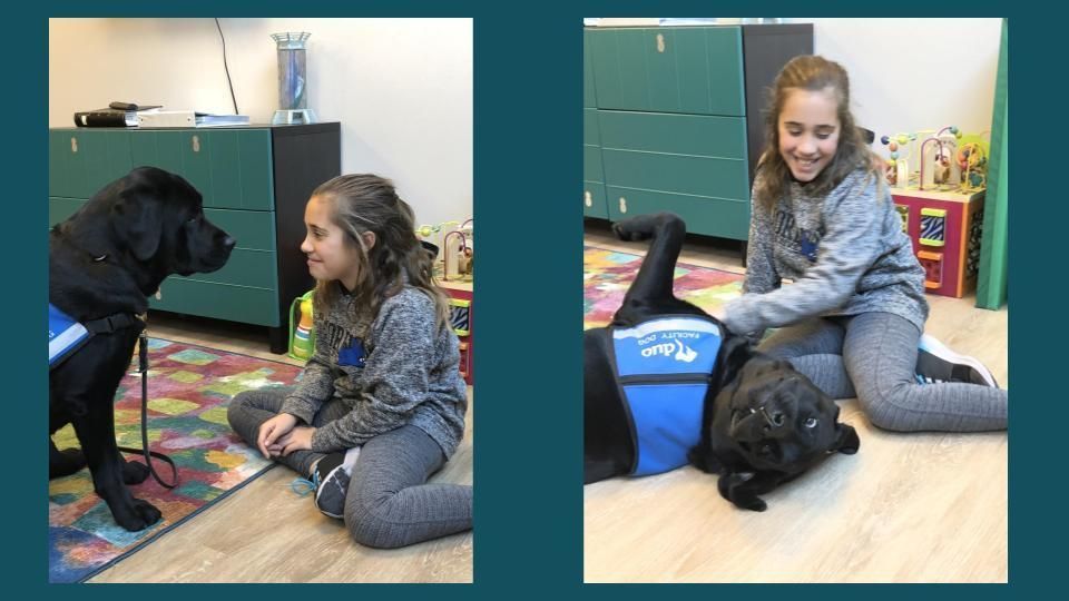 Facility Dog helps