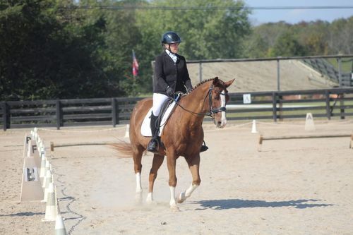 Lynn Chater and Toby (TN)