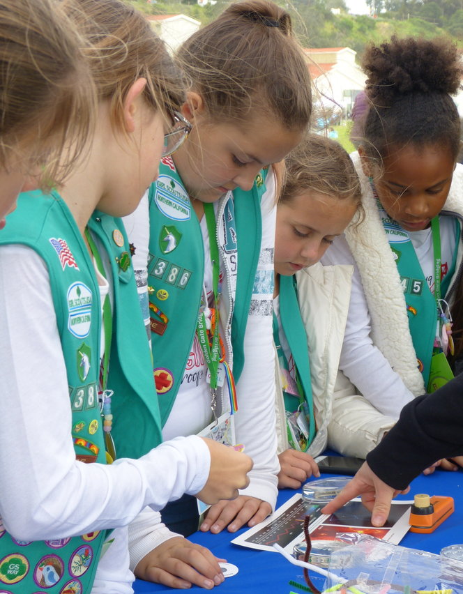 Thirty New Girl Scout Badges Now Available to Power Girl Leadership in Key 21st Century Issues