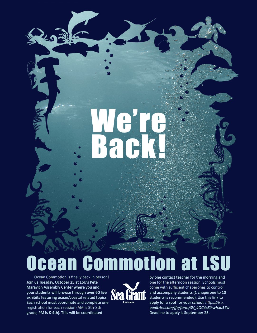 Ocean Commotion Information Flyer