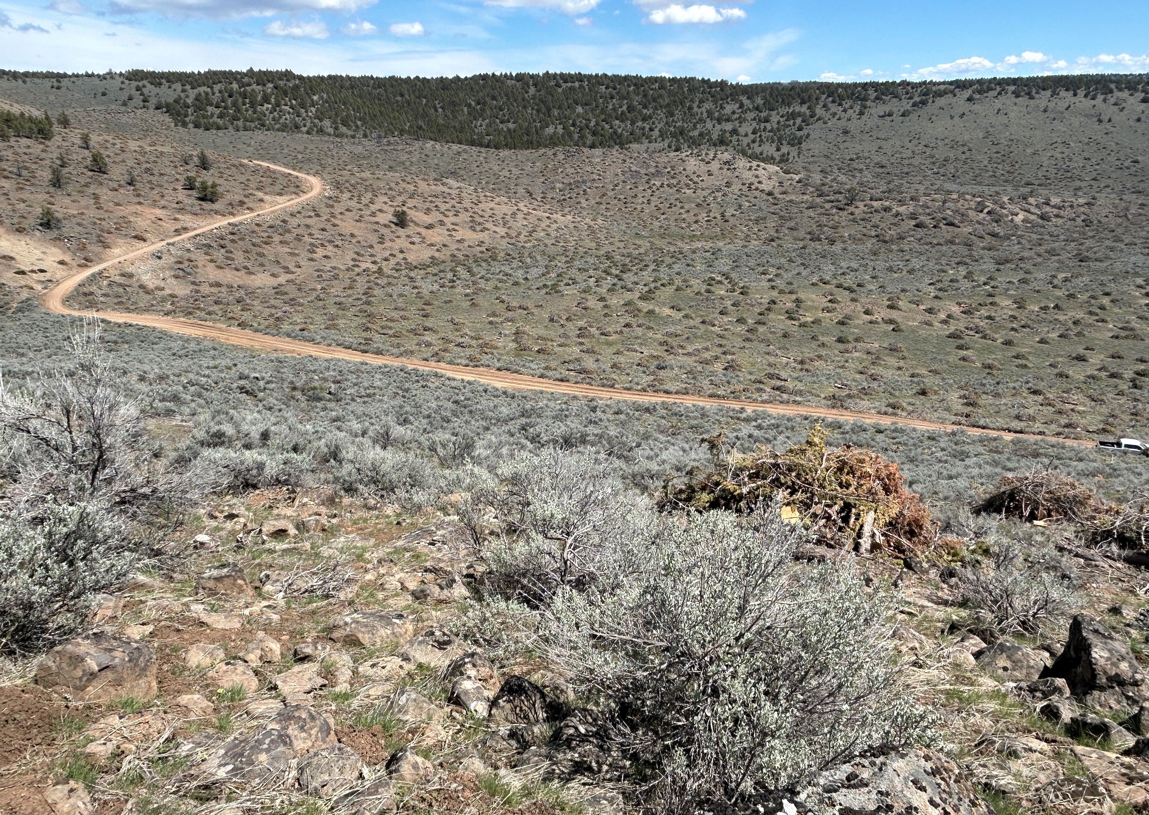 New Phase of Wildfire Resilience Work Completed in Southeast Oregon