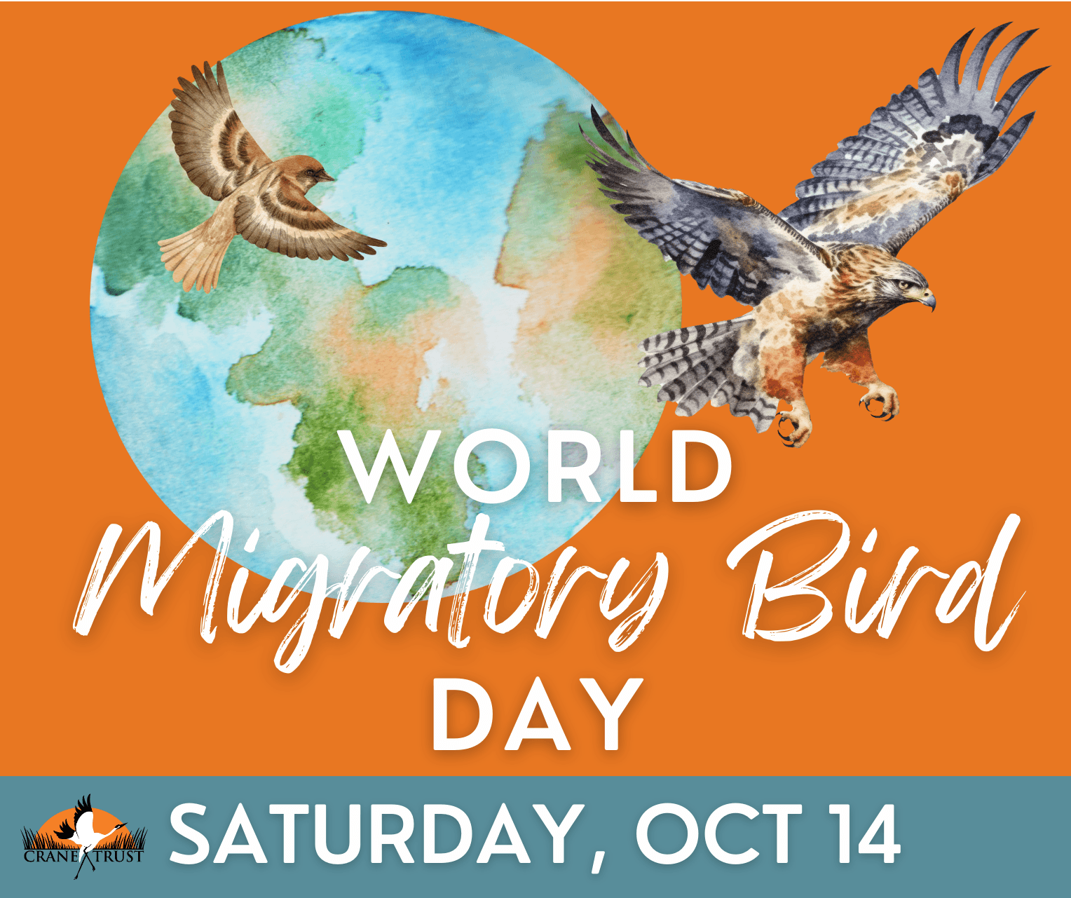 World Migratory Bird Day