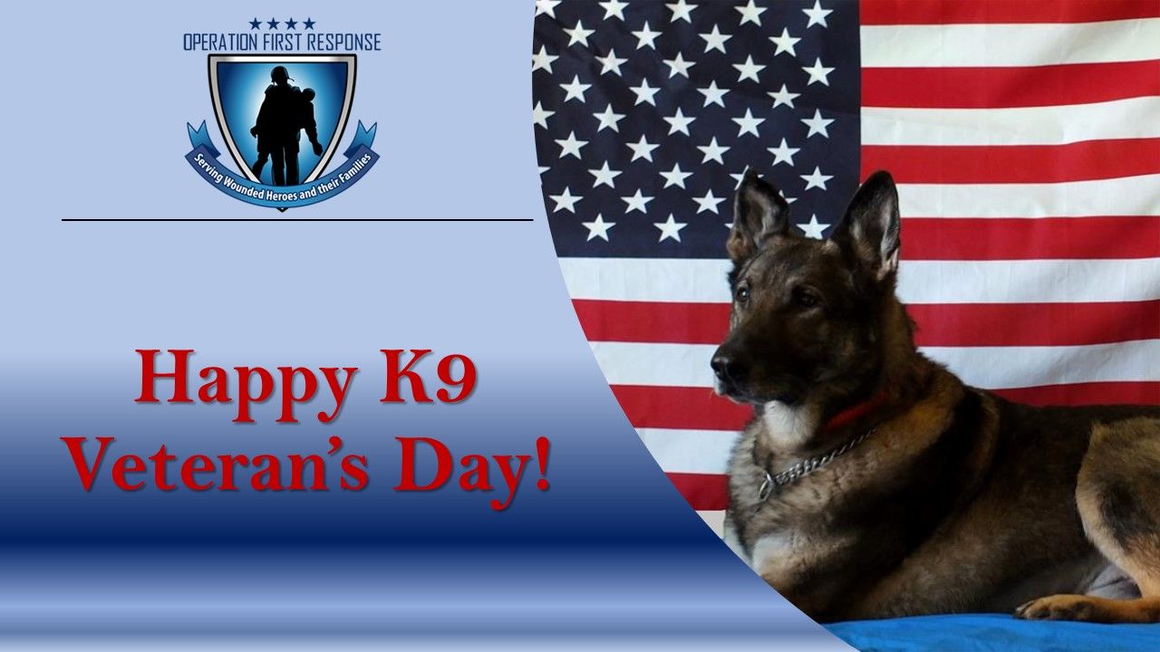 K 9 Veterans Day