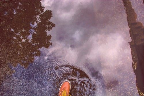 Image of rainboot in a puddle reflecting trees and sky.