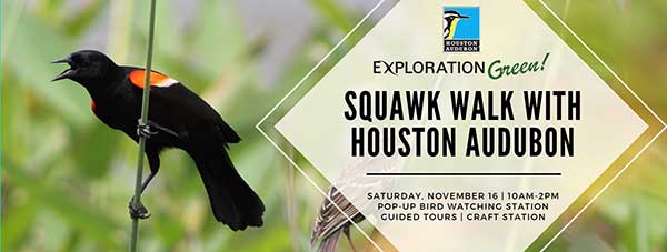 Squawk Walk