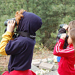Wild Birds