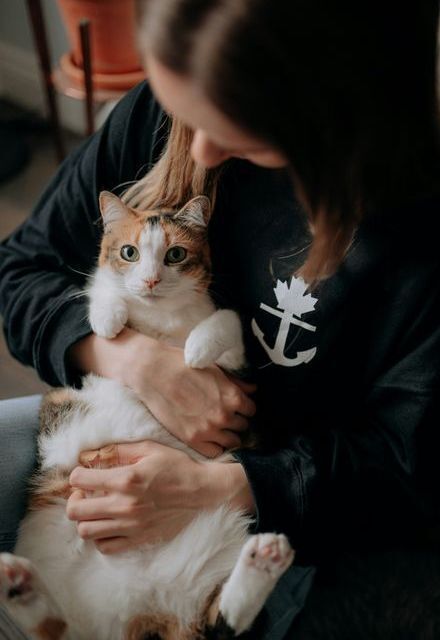 Woman with a cat in her lap