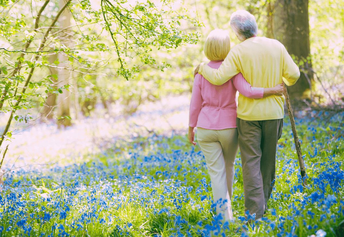 Home Connections Area Agency on Aging