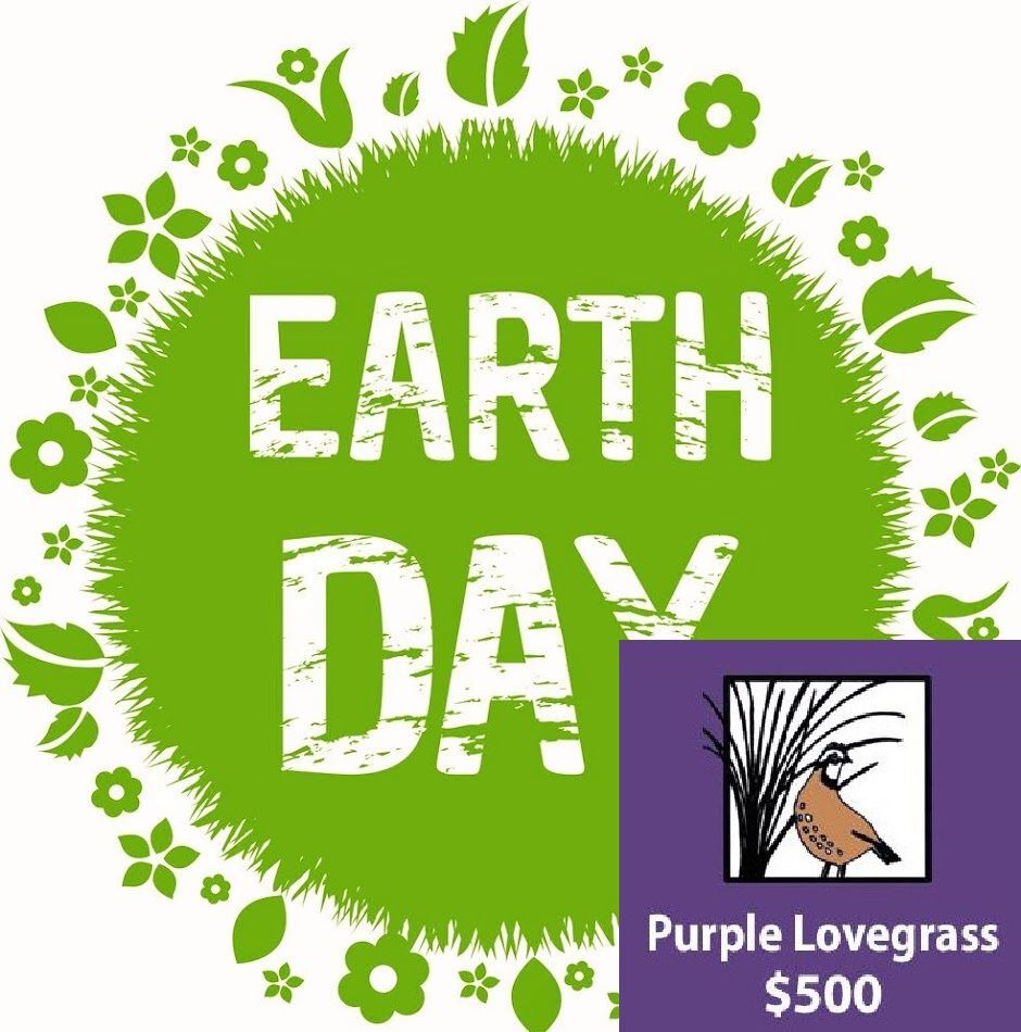 Earth Day Adkins event sponsorship