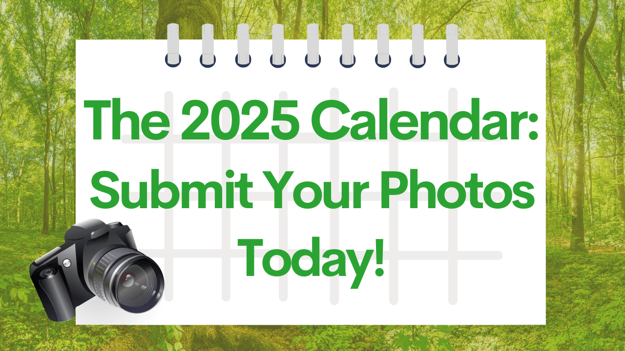2025 Bird & Wildlife Calendar: Click to Submit Your Photos!