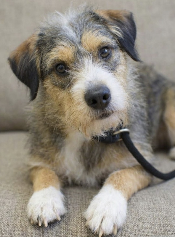 Thelma - ADOPTED