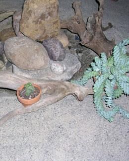 Daily Prayer March 2