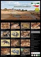 Amphibians of Somaliland