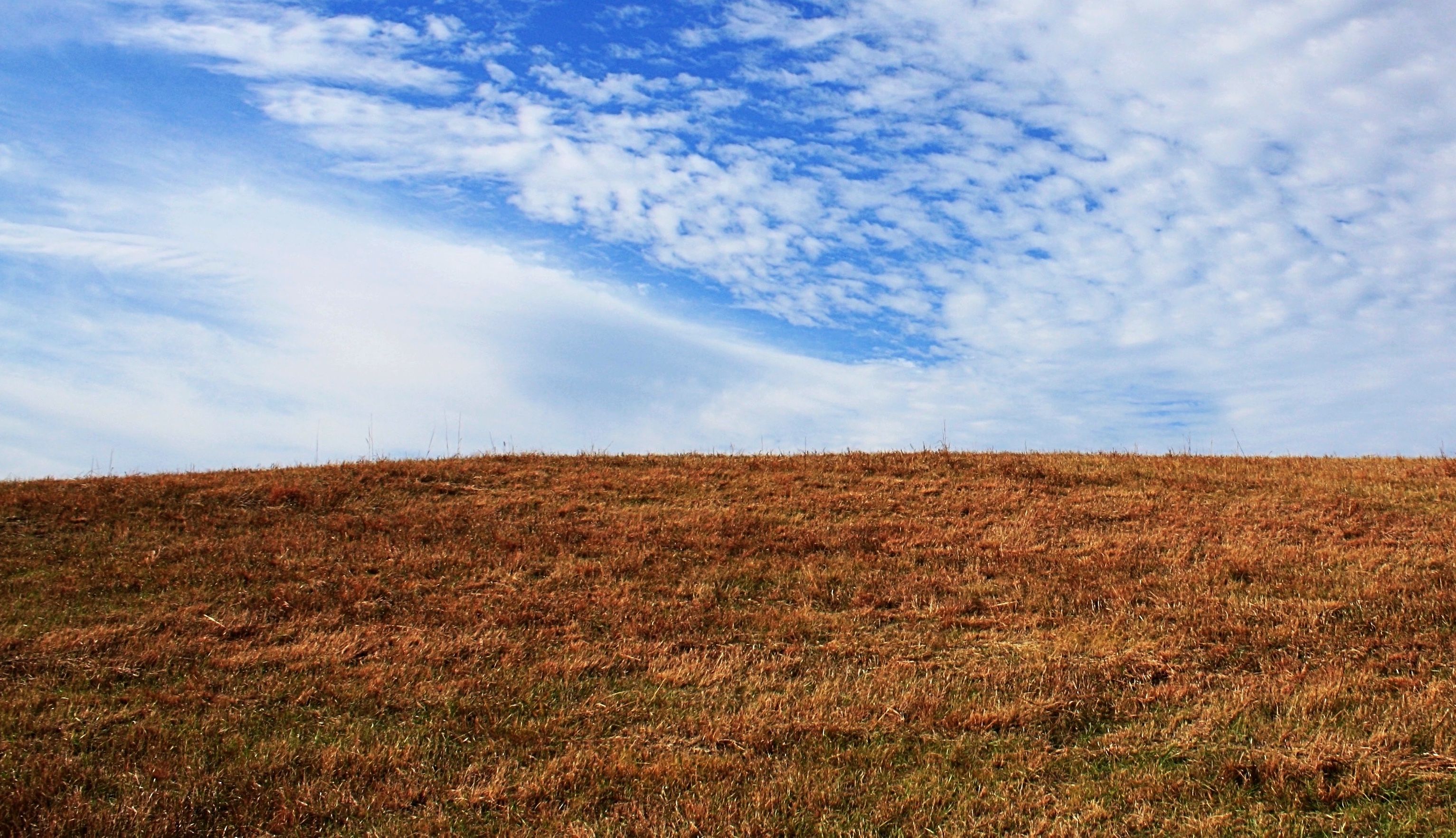 Photograph of the Audubon Society of Omaha Prairie Preserve by Stacy Coury. 