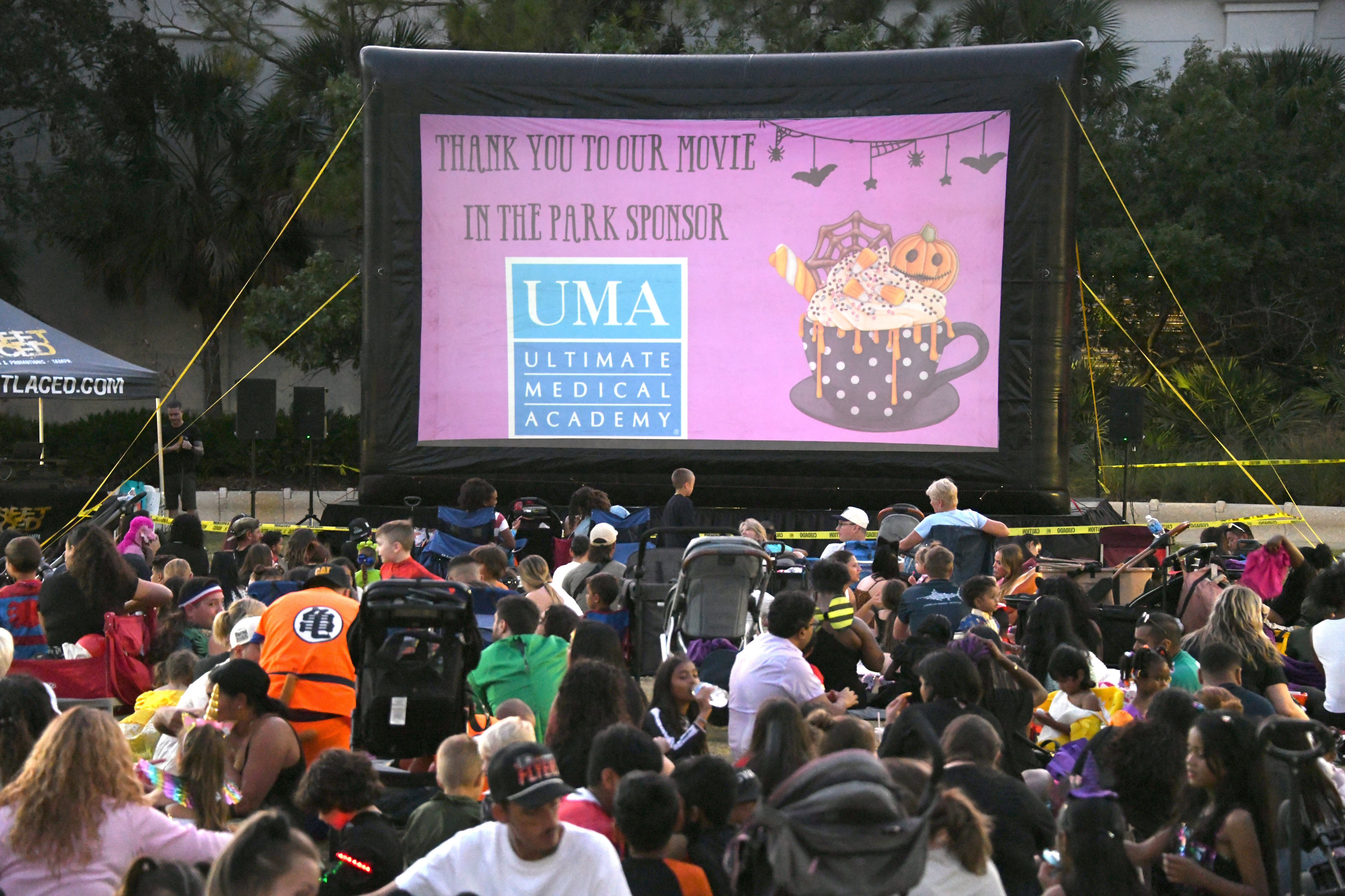 Movie in The Park