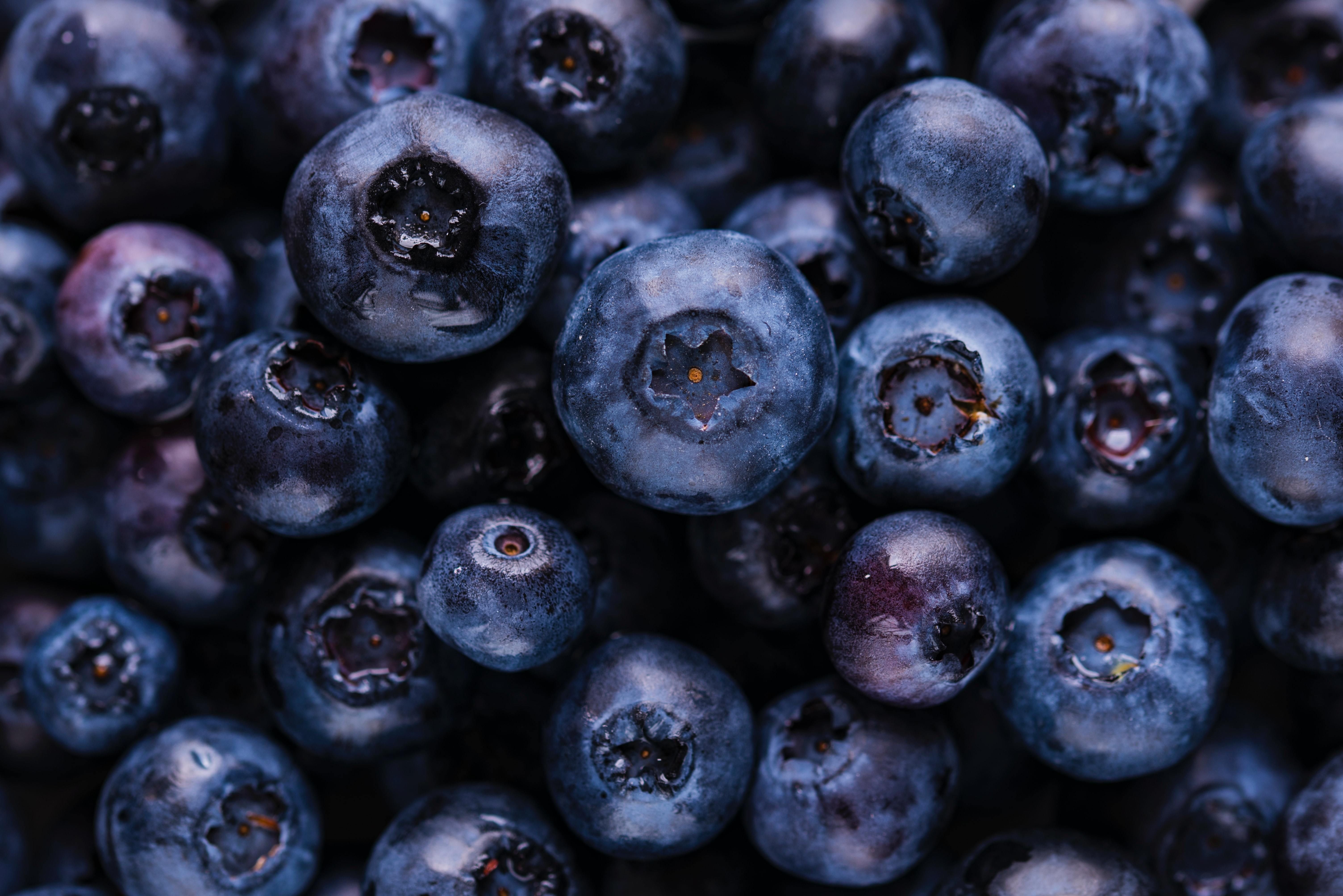 Background image of blueberries