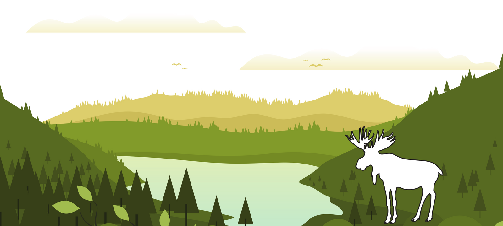Moose Scat Scoot