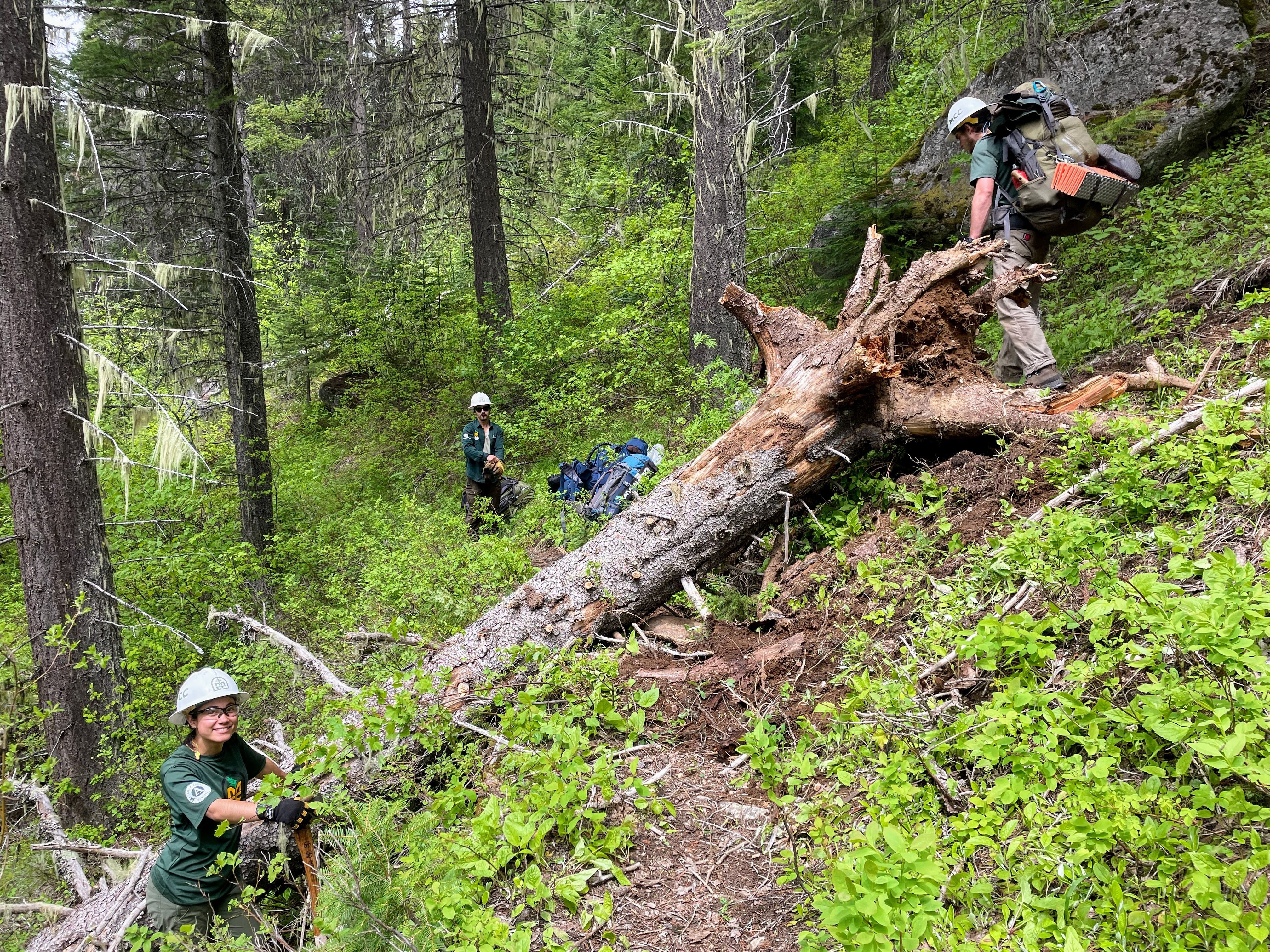 There is a tree laying horizontally across the trail. Two leaders are at the top and bottom of the tree, while an MCC staff member stands on the trail in the background behind the tree. They are preparing to cut it off the trail.