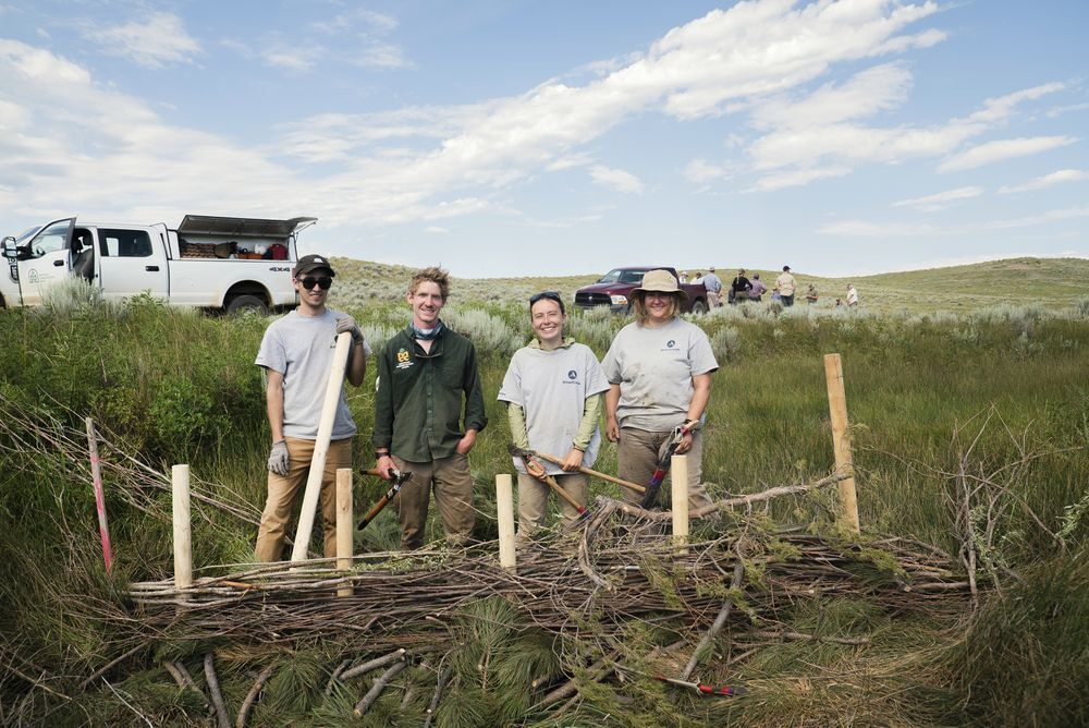 Bozeman Chronicle