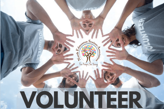 Volunteer Coordinator