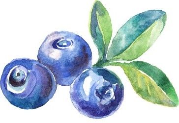Image of blueberry included in custom sign for Cambro flex cart graphics