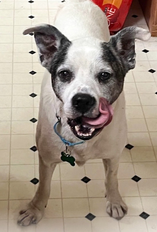 Gus