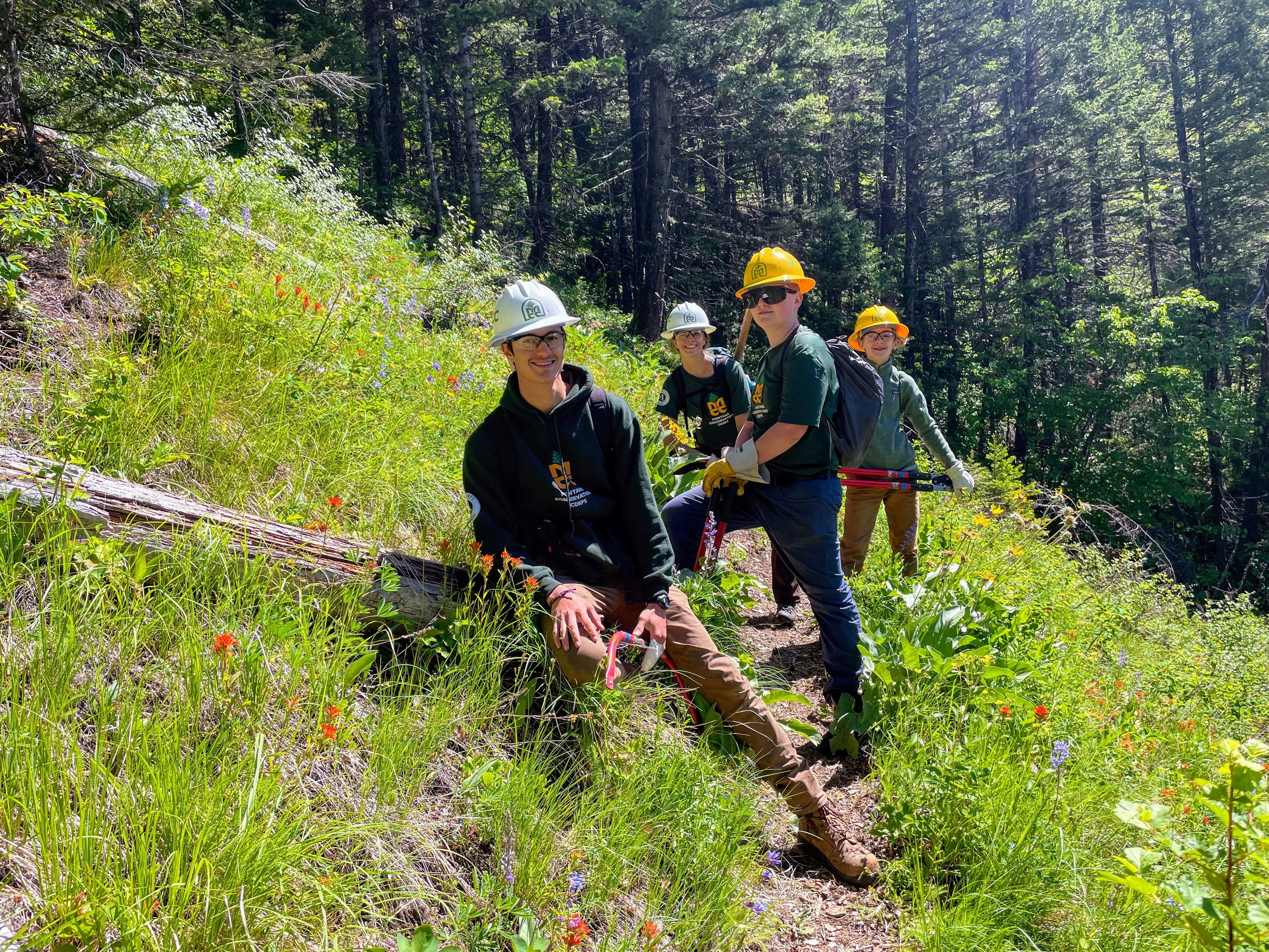 [Image Description: Four MCC members standing on a hillside filled with wildflowers, pose for a picture with hard hats and trail tools.]