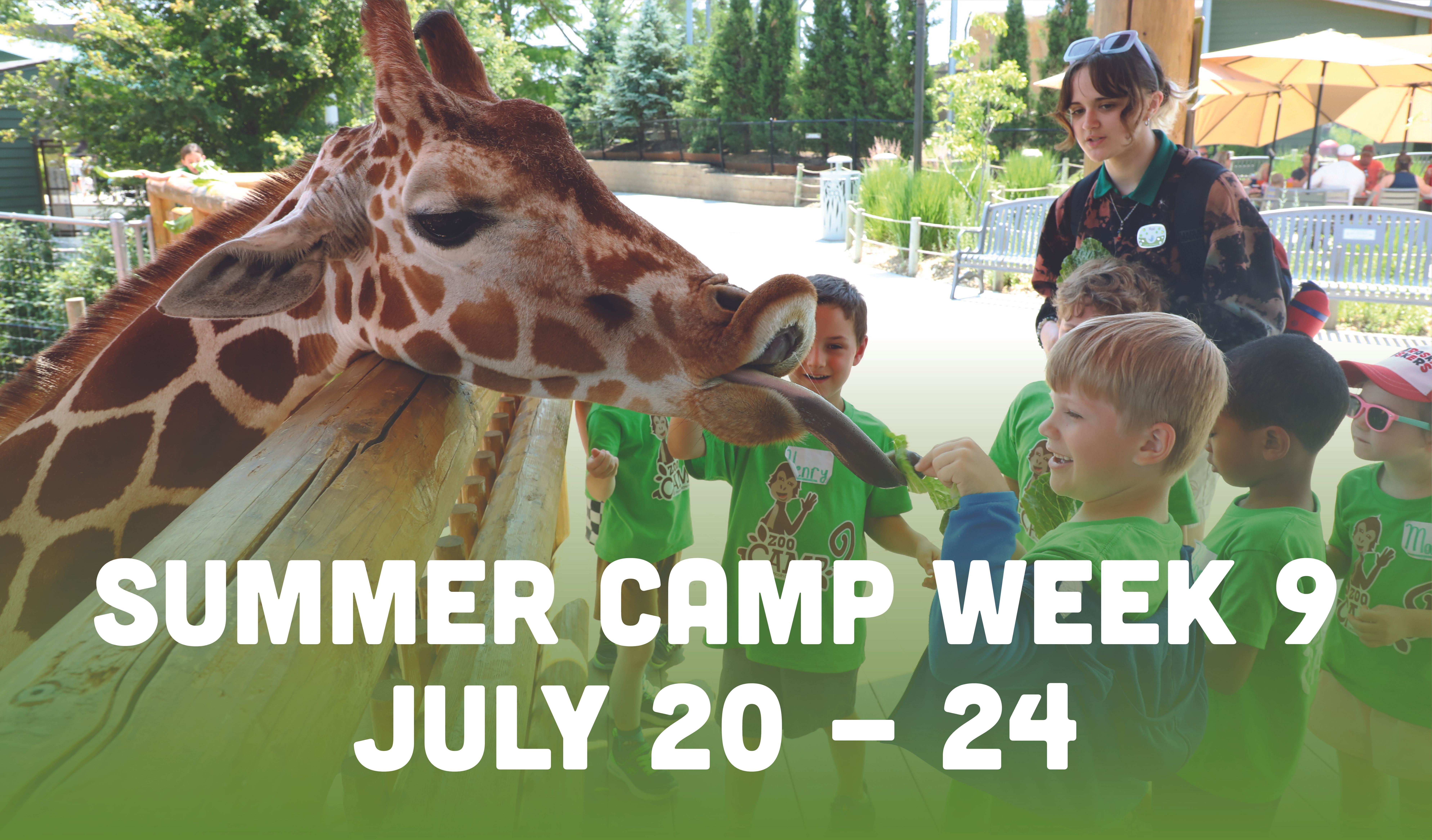 Register for Summer Camp Week 9: July 20-24