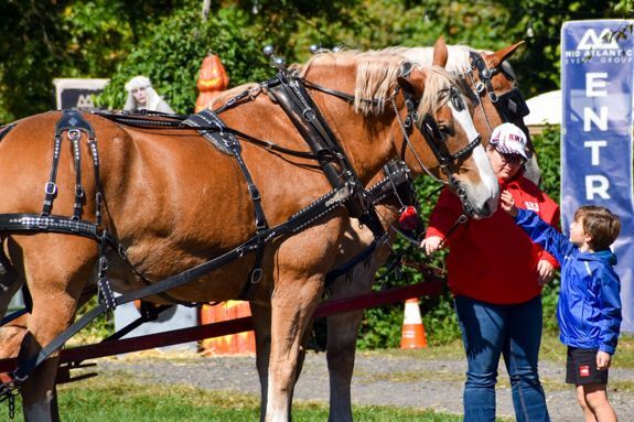 Small Boy reaches up to pat Horse on the Nose. The horse is in harness, the wagon it is pulling is off to the left.