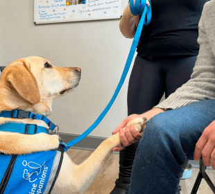 Trauma-informed Care