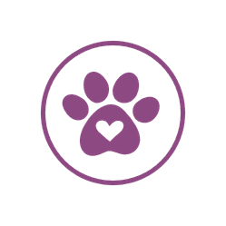 4. Promise for pets